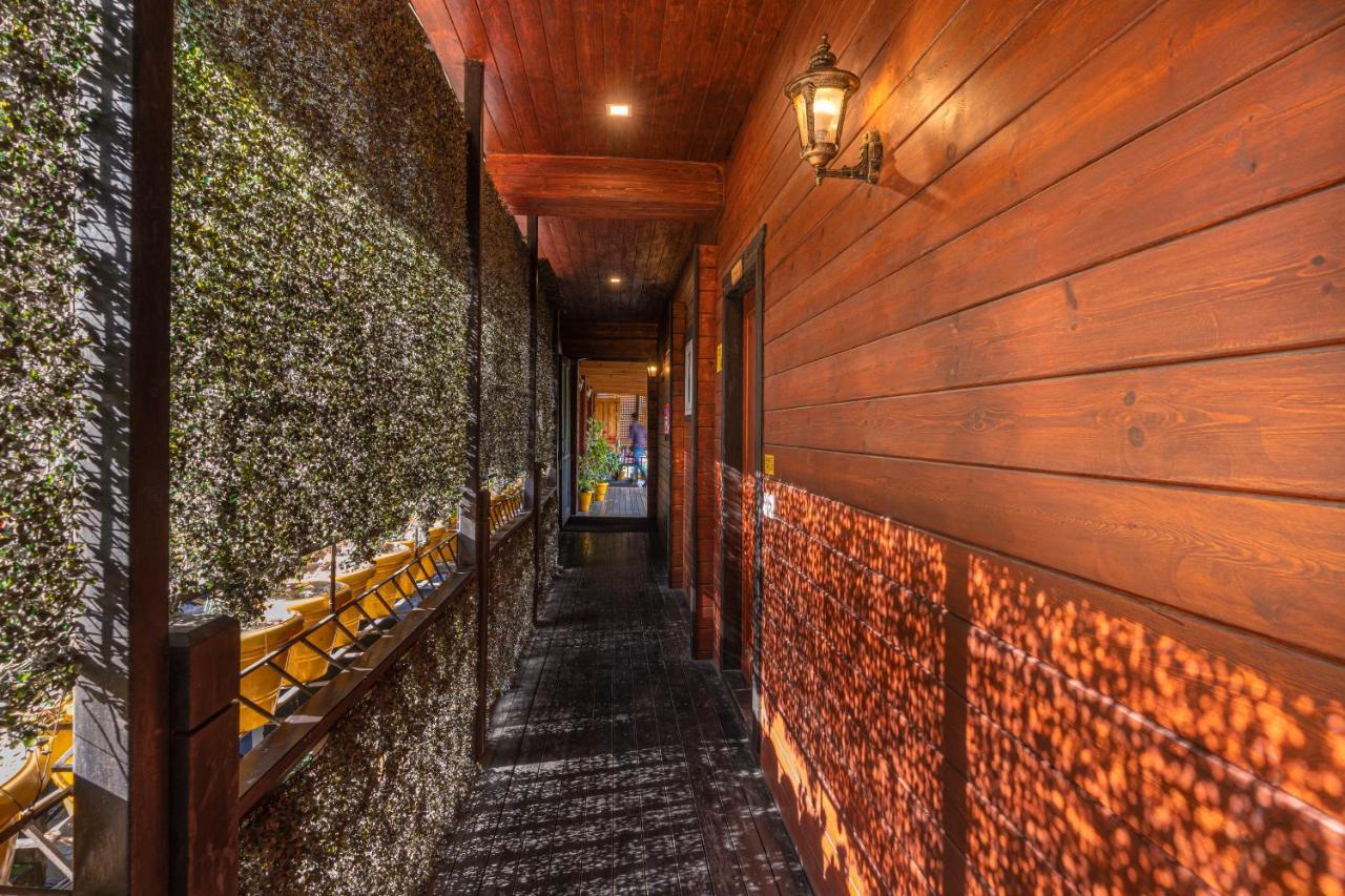 The Hosteller Kasar Devi Almora Exterior photo