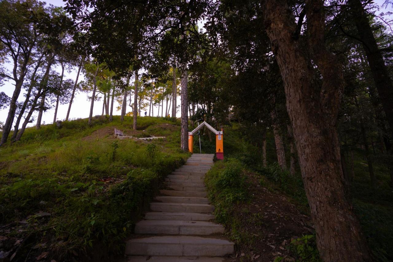 The Hosteller Kasar Devi Almora Exterior photo